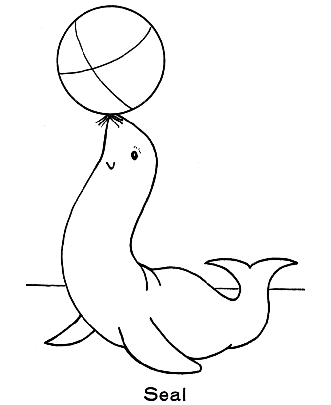 Plansa de colorat cu Foca 9 32